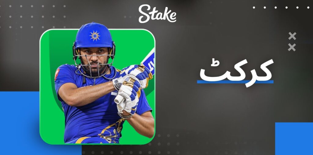 Stake کرکٹ بیٹنگ