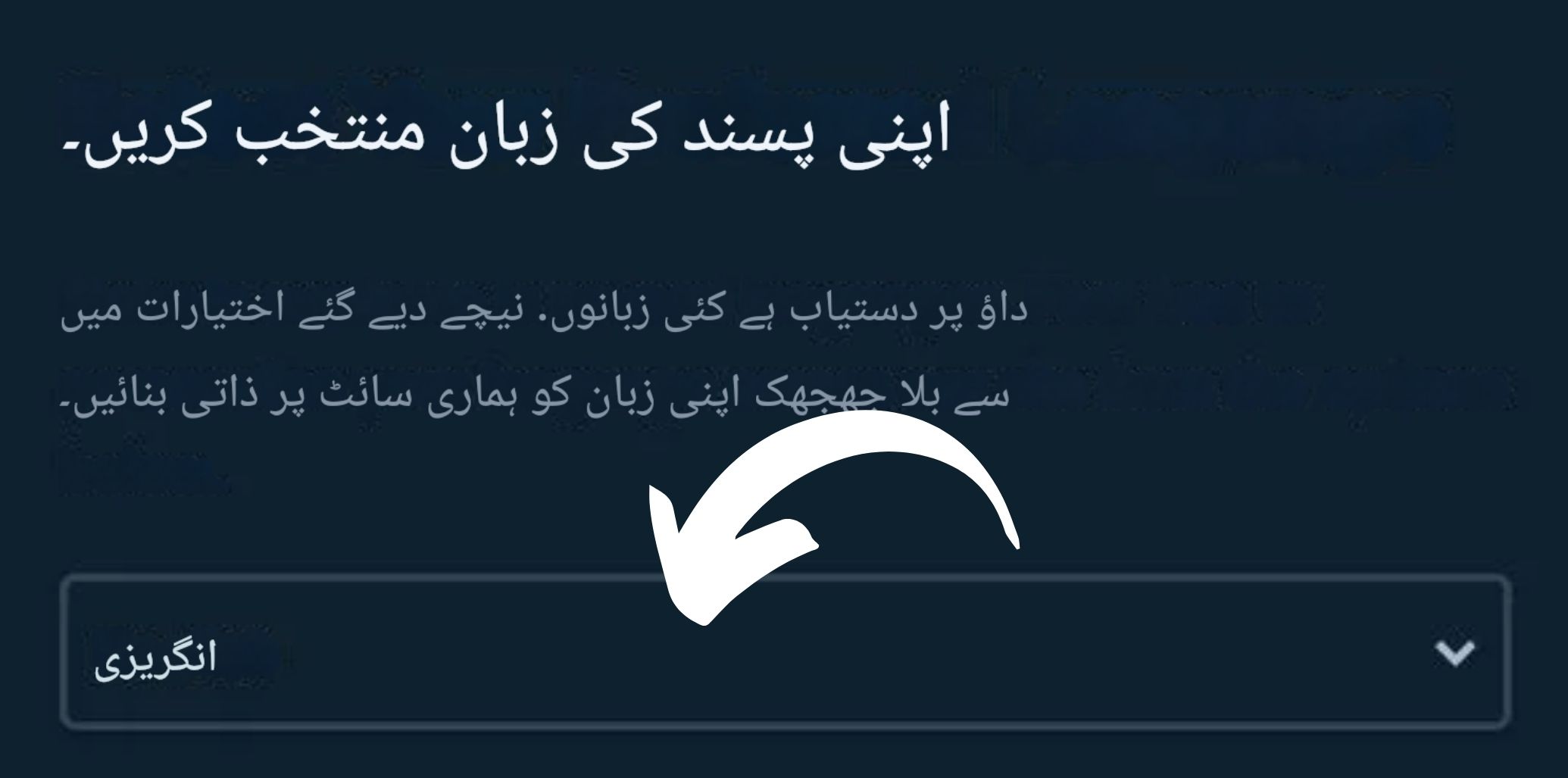 Stake سائٹ کی زبان منتخب کریں۔